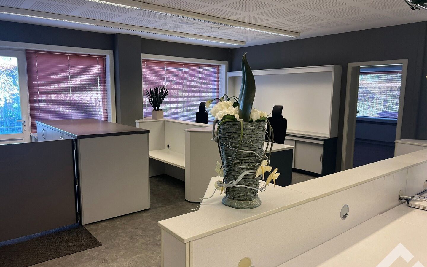 Industrieel gebouw te huur in Hamont-Achel