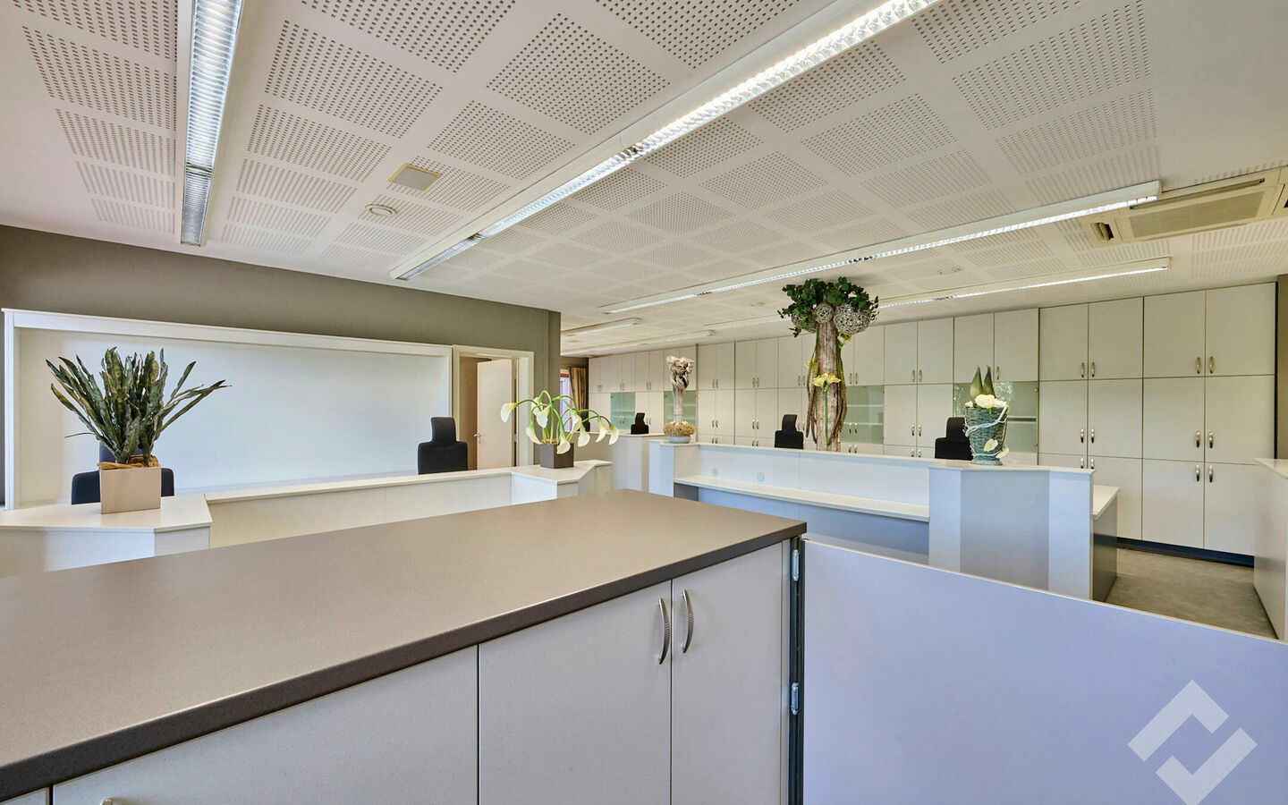 Industrieel gebouw te koop in Hamont-Achel